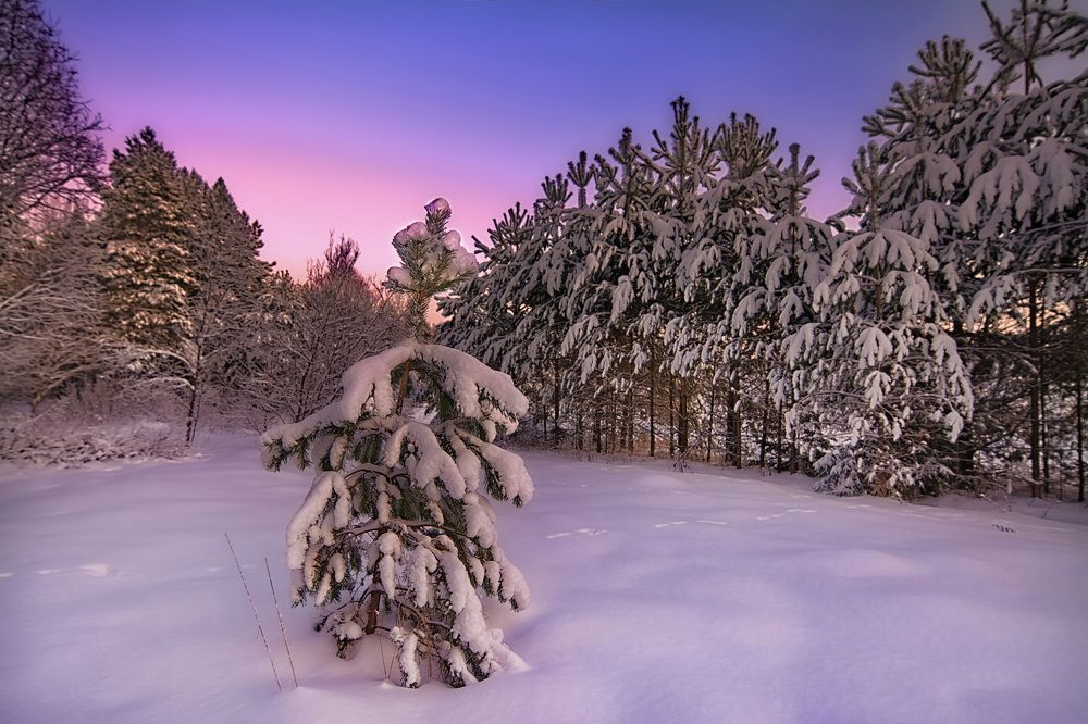 Photograph by Юрий Митенёв