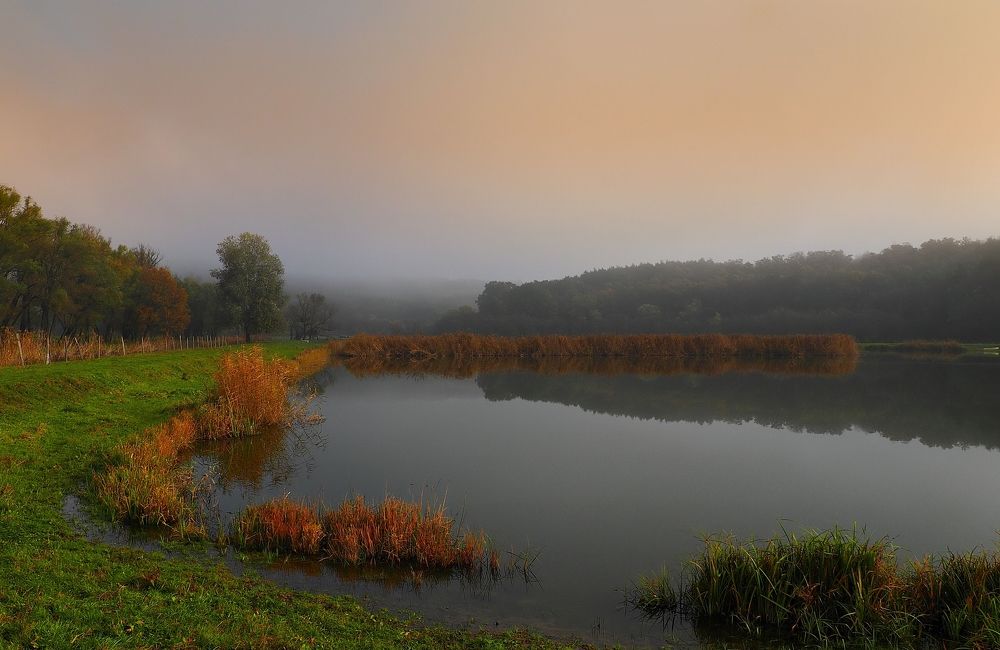 Photograph by Adrian Eperjessy