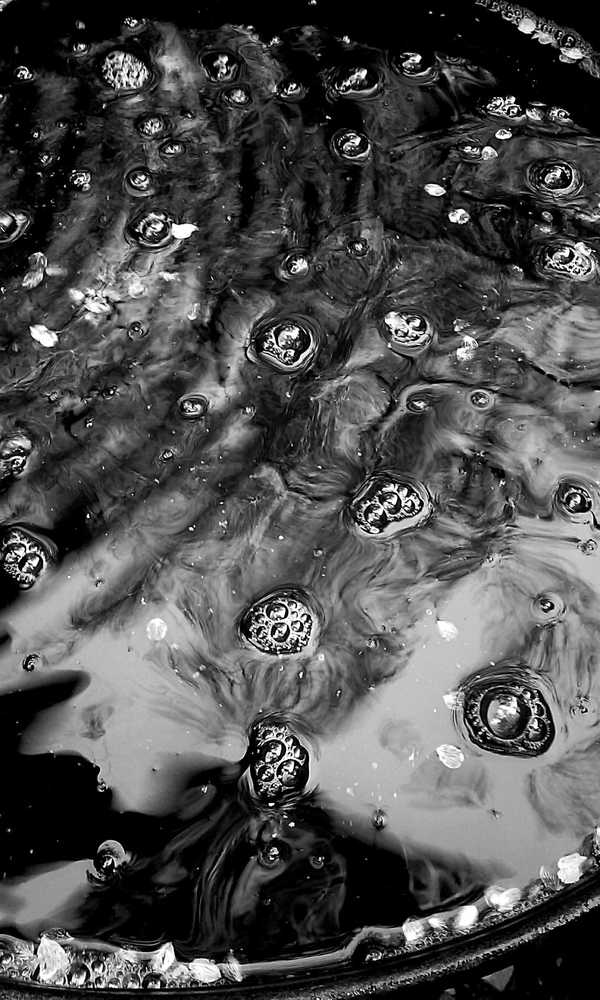 Photograph by Galina Novichkova