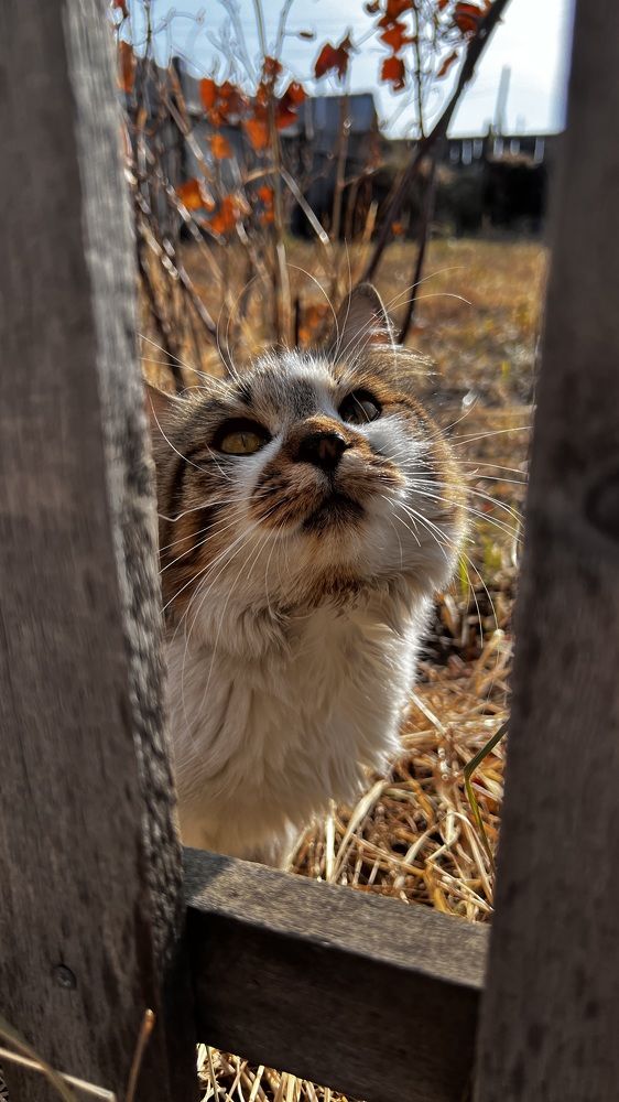 Photograph by Елена Мизина