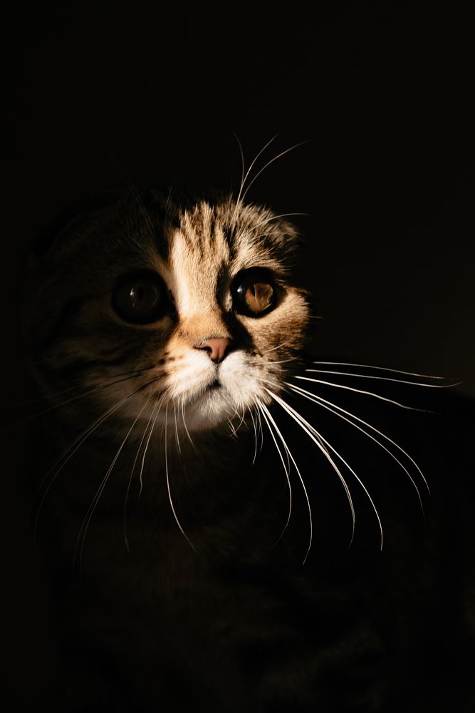 Photograph by Лина Кузнецова