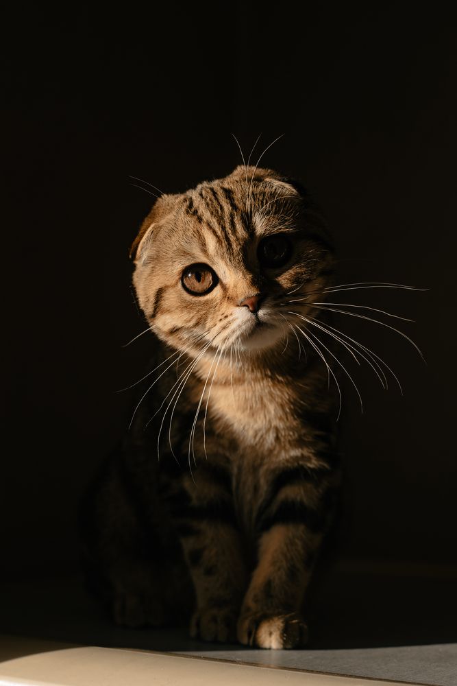 Photograph by Лина Кузнецова