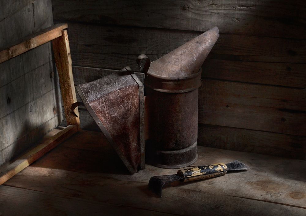 Photograph by Геннадий Чеботарев