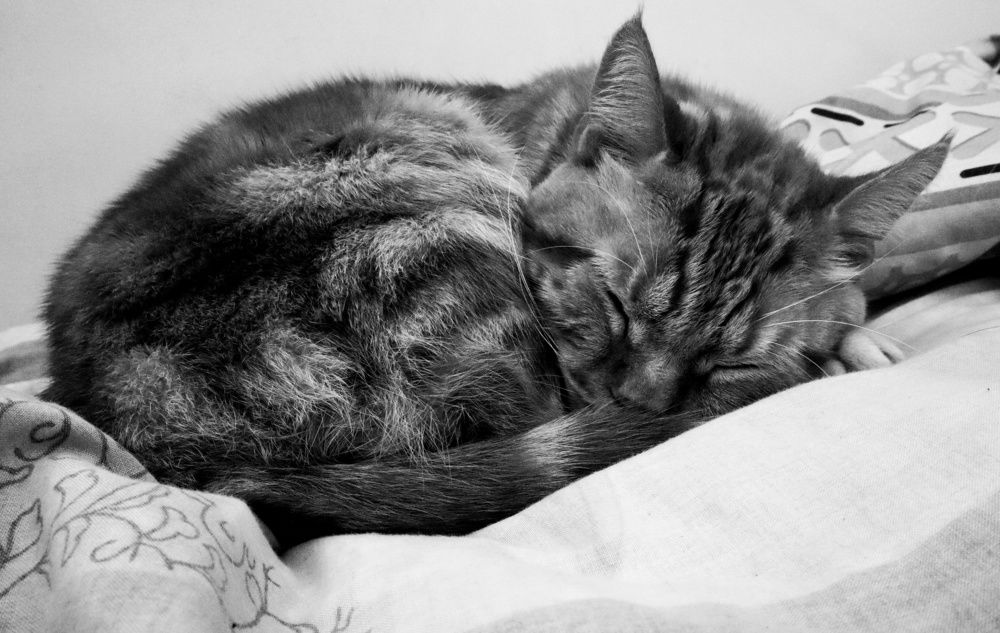 Photograph by Aytana Avila Vidalon