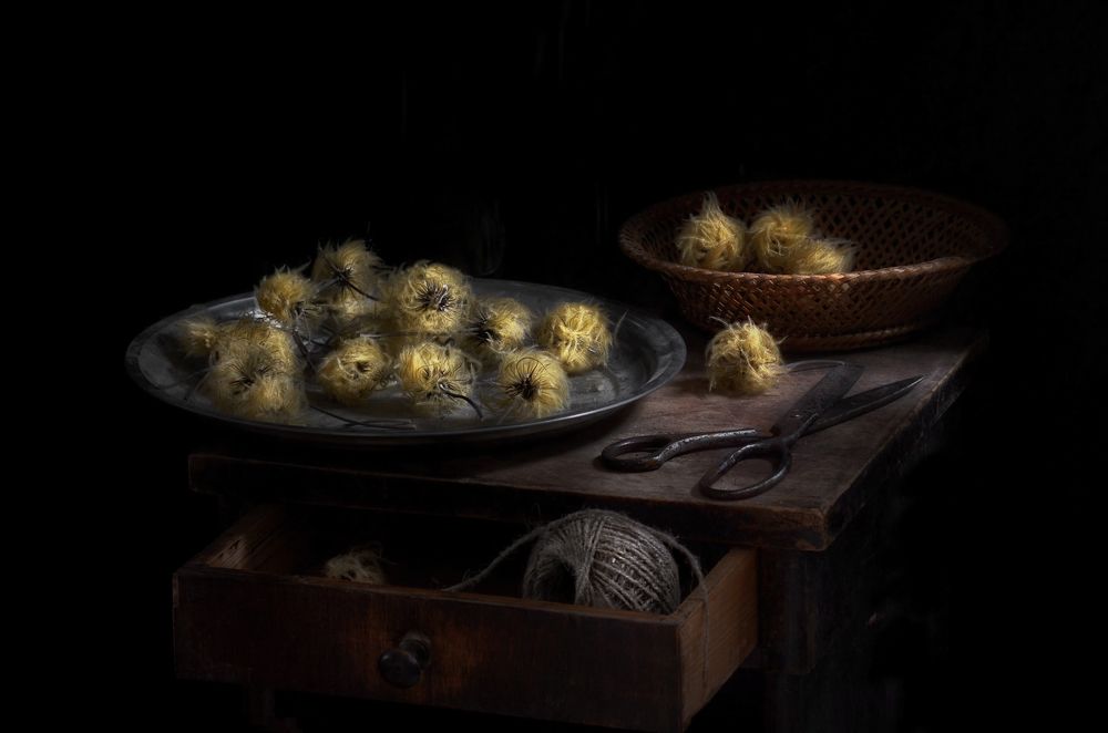 Photograph by Геннадий Чеботарев