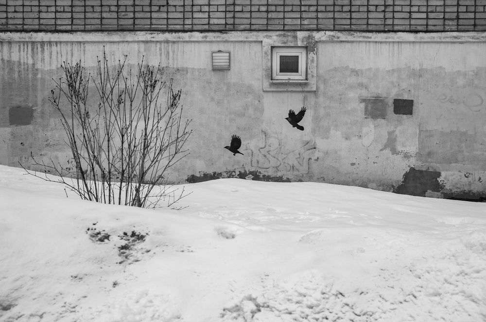 Фотография автора Андрей Рогов