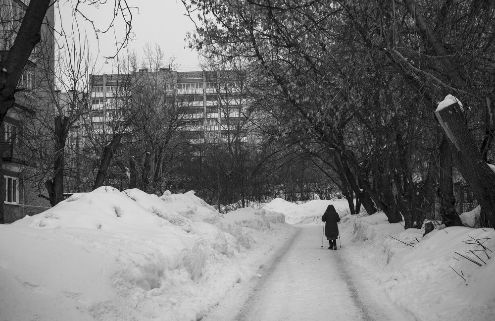 Фотография автора Андрей Рогов