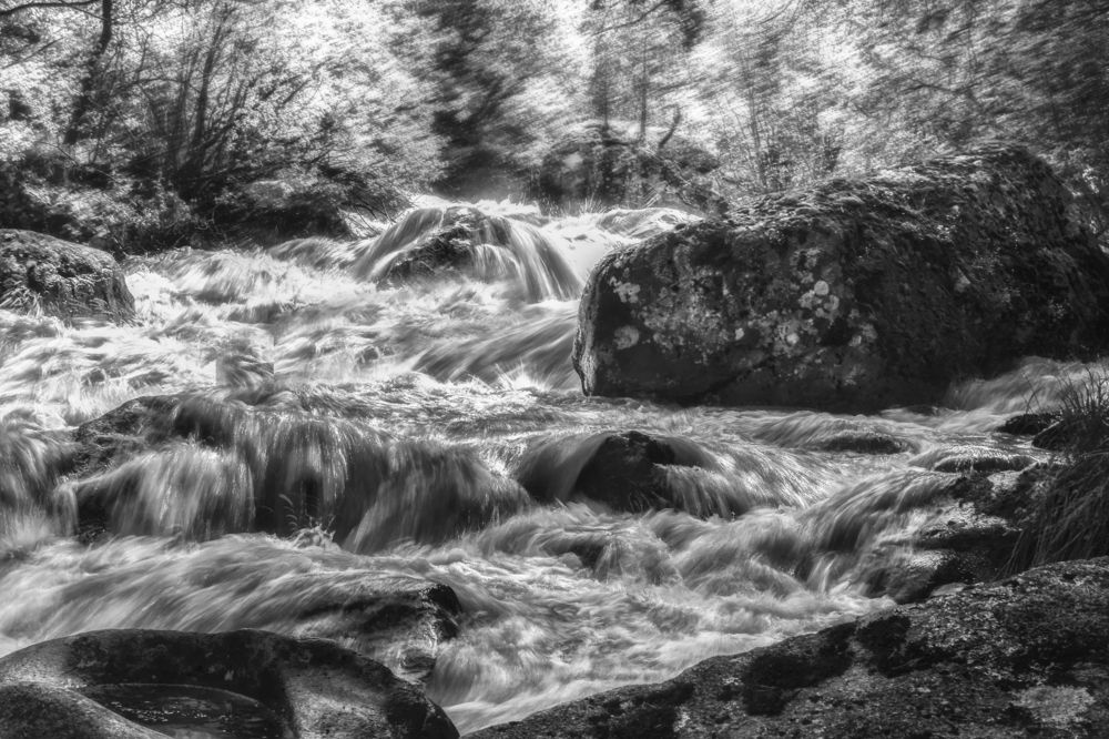 Photograph by Геннадий Чеботарев