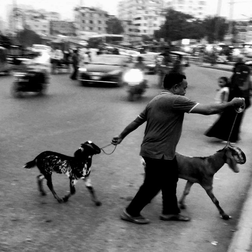 Photograph by Md Rizwanullah Shuvo