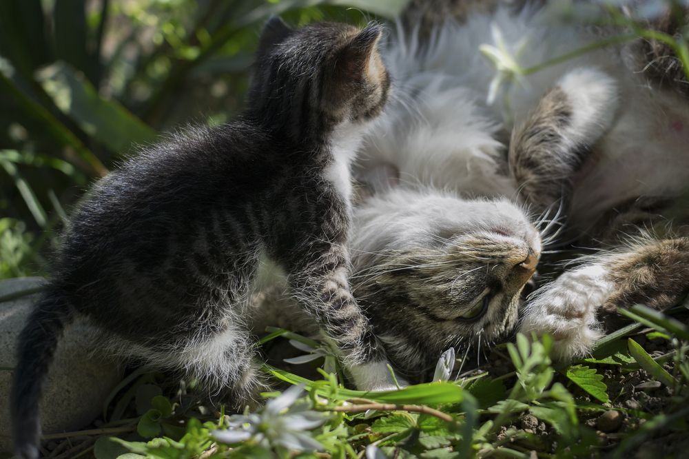 Photograph by Геннадий Чеботарев