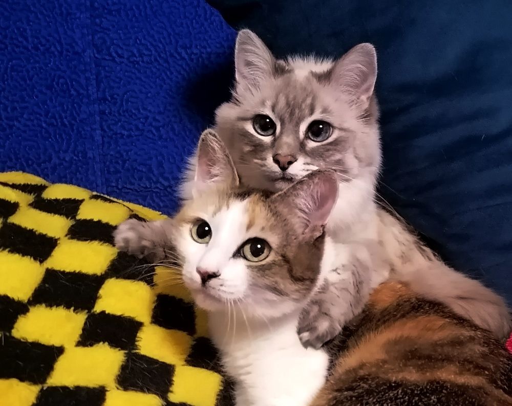 Photograph by Тамара Багровская