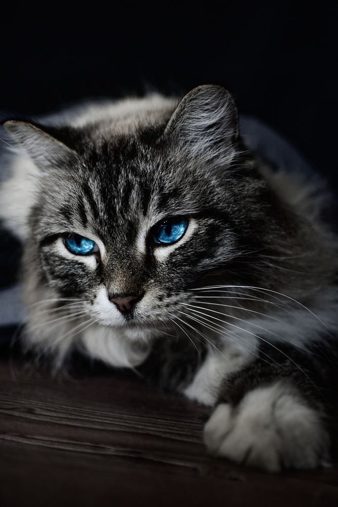 Photograph by Anna Borodina