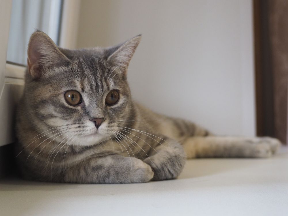 Photograph by Олег Деркач