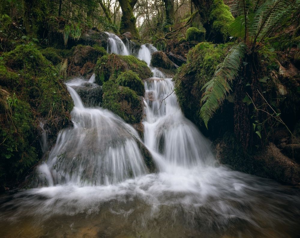 Photograph by Roberto