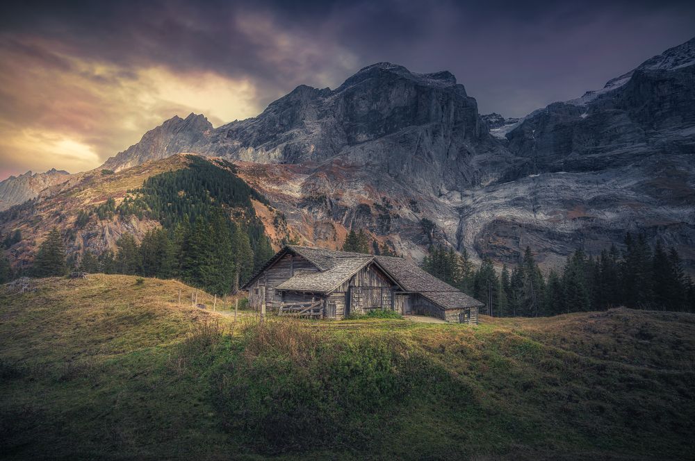 Photograph by Marko Klavs