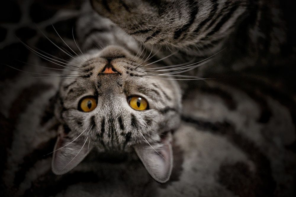 Photograph by Елена