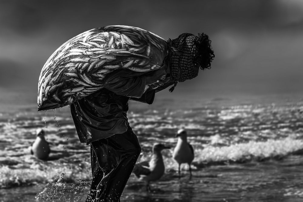 Photograph by Khalid Al-Wadhaihi