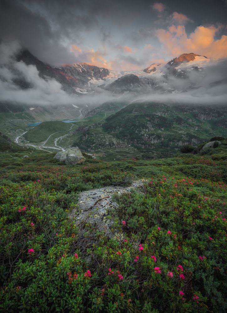 Photograph by Marko Klavs