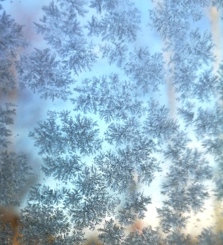 Photograph by Тамара Багровская