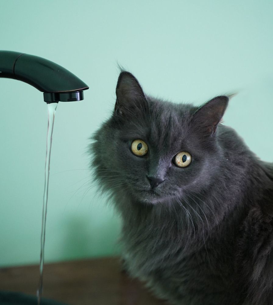 Опять съёмка!