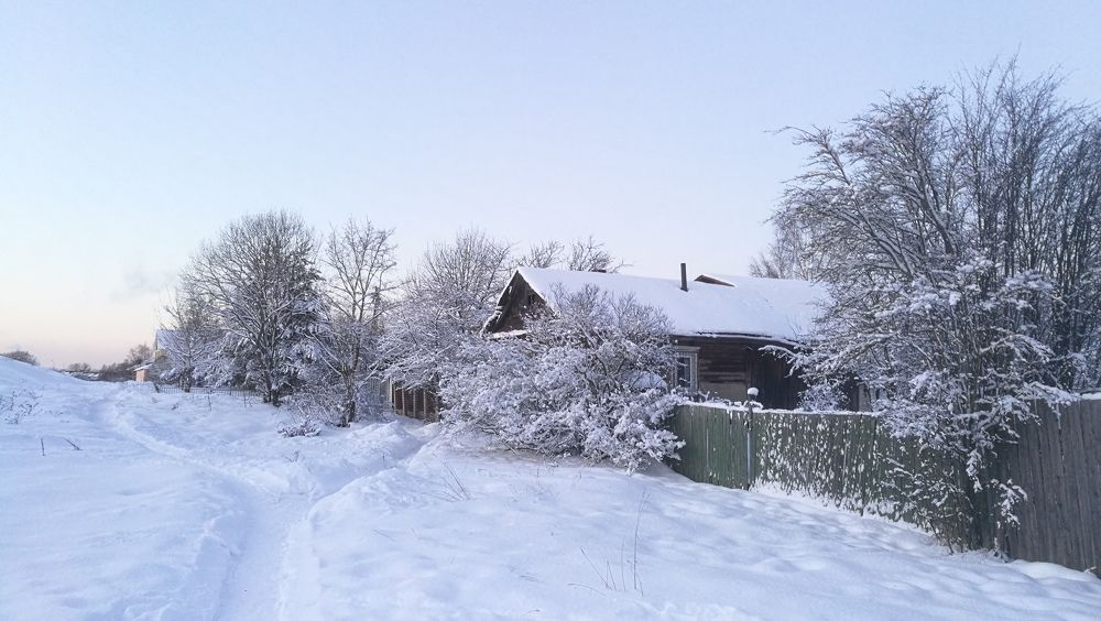 Photo #8768060