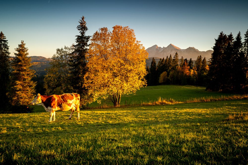 Photograph by Tomek Podolski