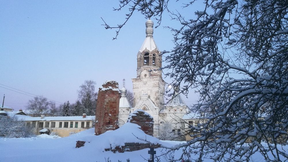 Photo #8768065