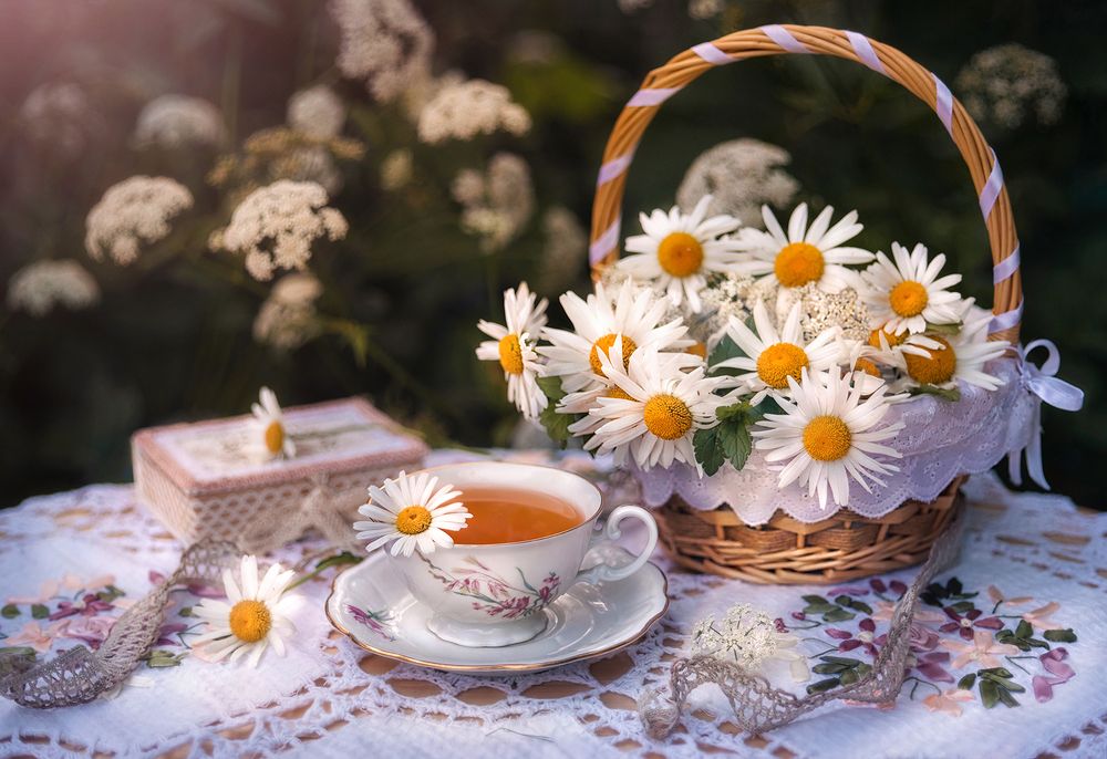 Чай с ромашкой