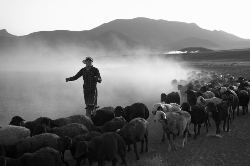 Photograph by Ali Karimi