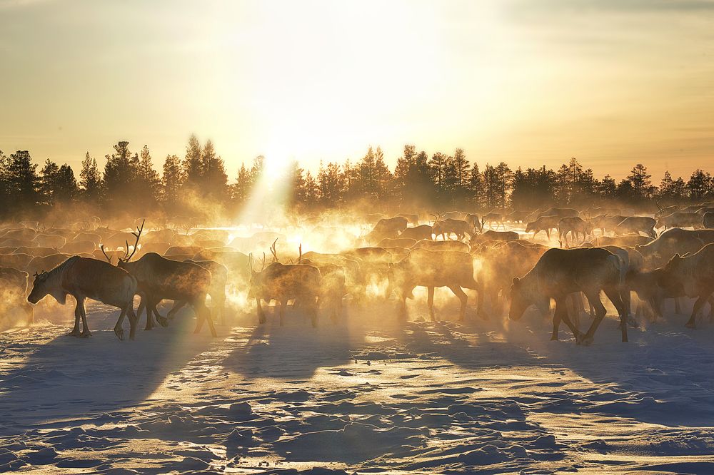 Photograph by Екатерина Григорьева