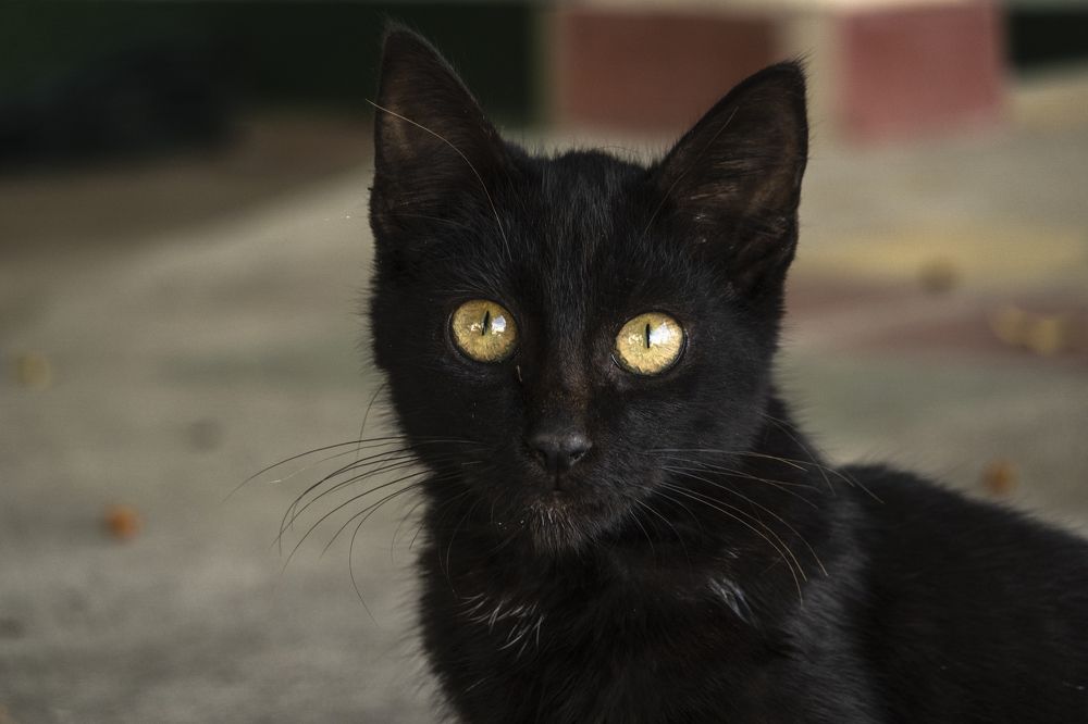 Photograph by JUAN SILVA