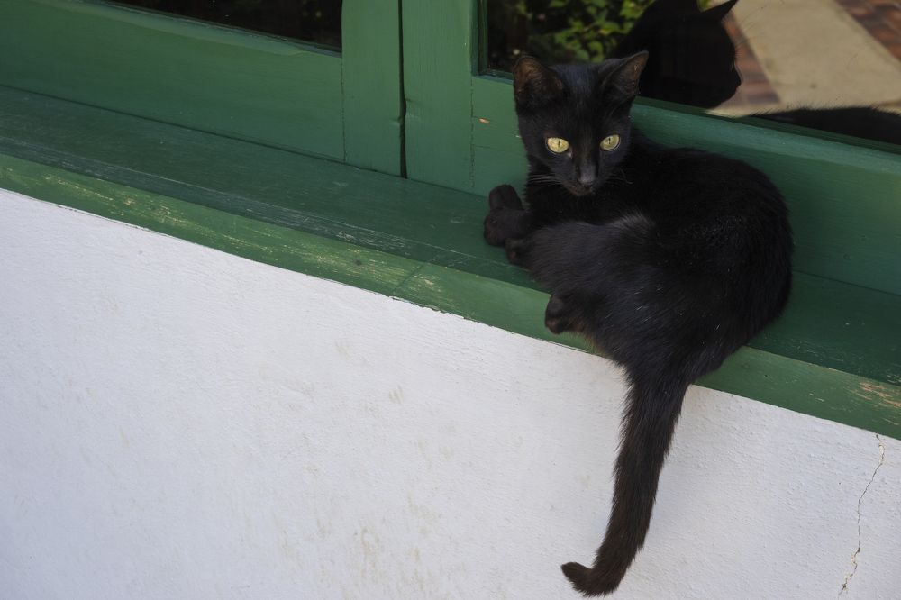 Photograph by JUAN SILVA