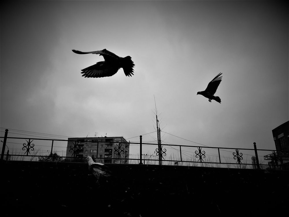 Photograph by Евгений Широких