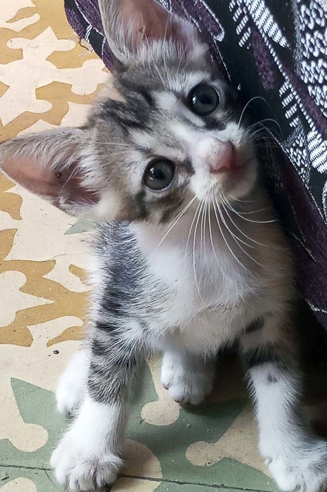 Photograph by Luisa Martina Hernández