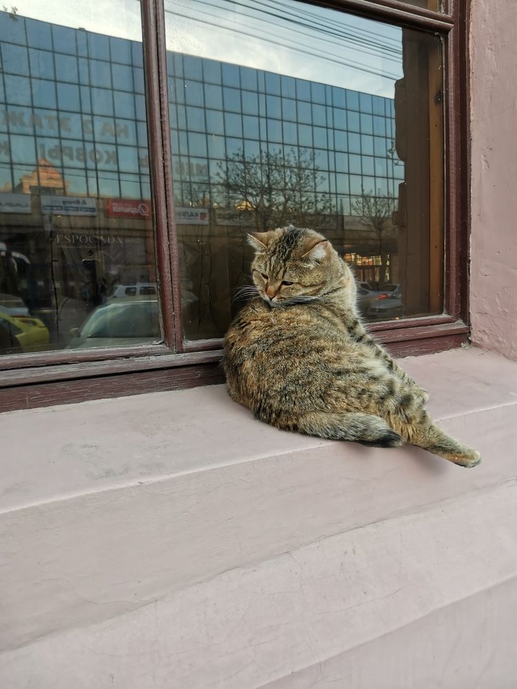 Фотография автора Хабиба Ахмедова