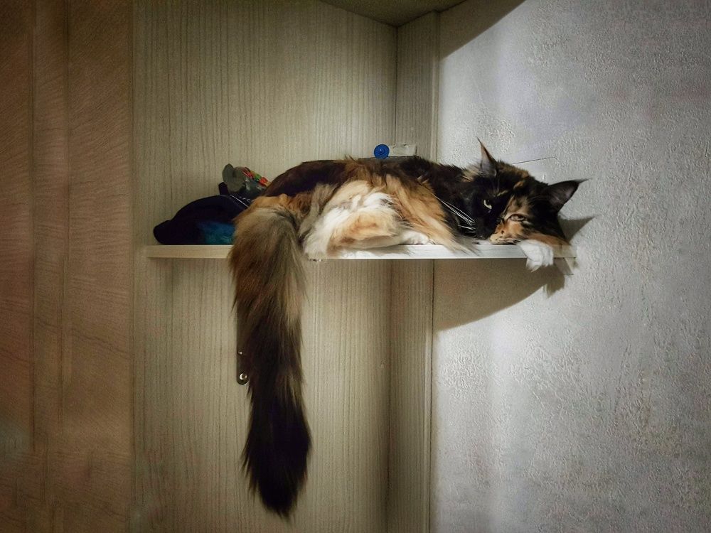 Фотография автора Дана Богинская