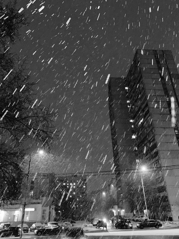 «…падал вечерний снег…»