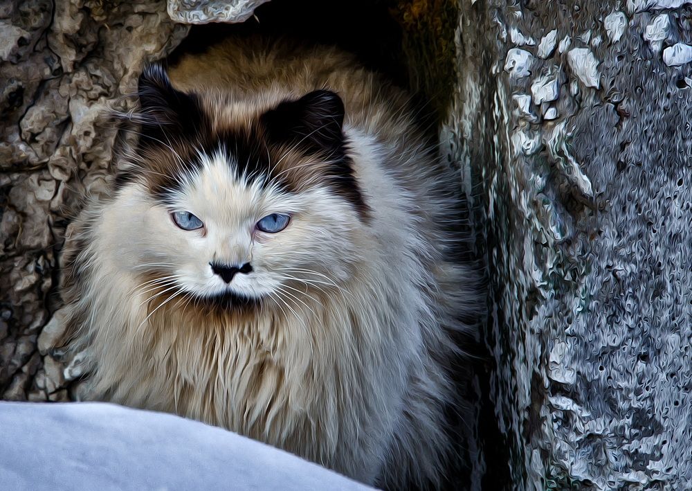 Photograph by Даниил Марков