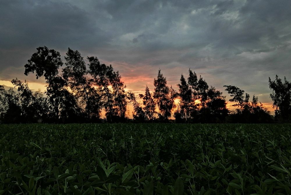 Sunset from countryside