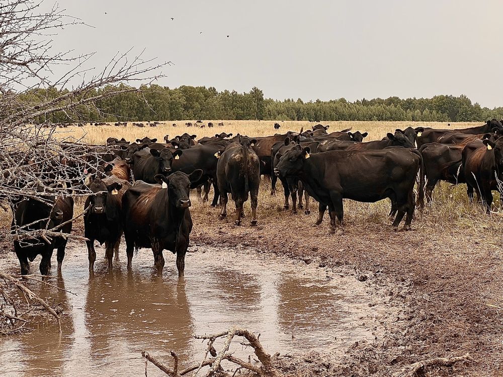 Photograph by Оксана Лупекина