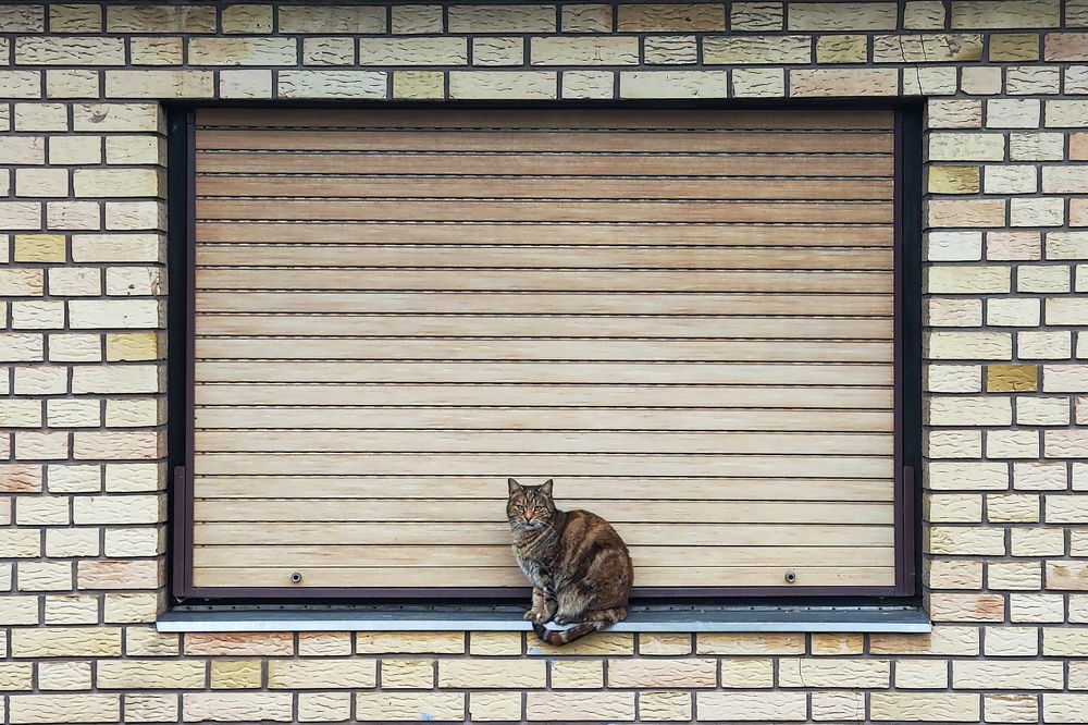 Photograph by Minja Jovetic