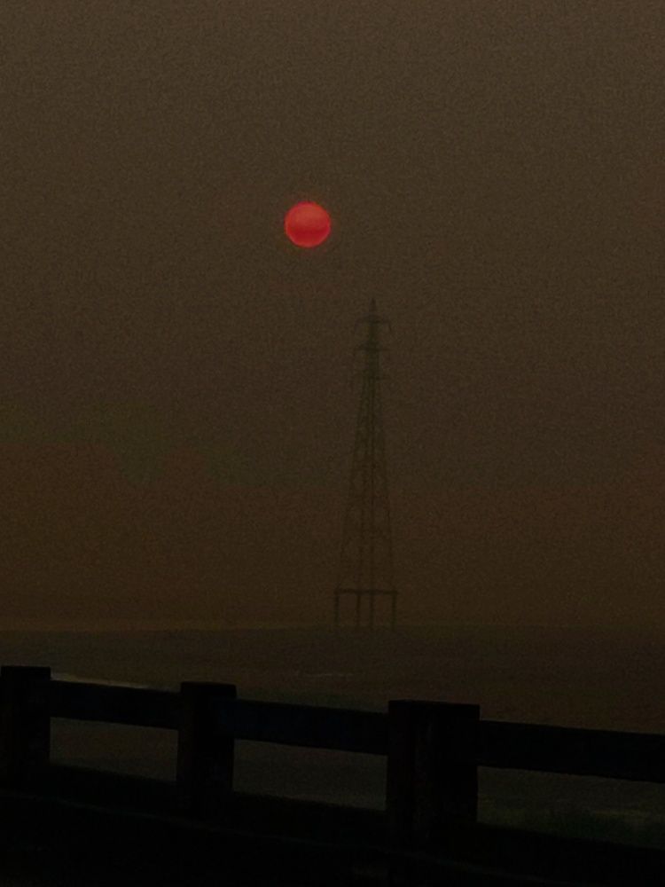 Photo #8768755