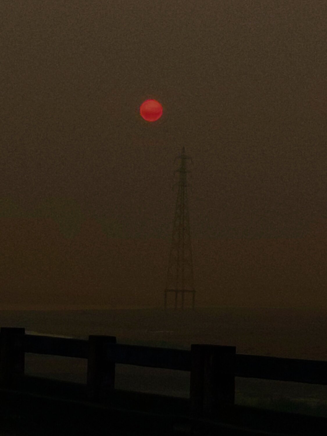 Photo #8768755