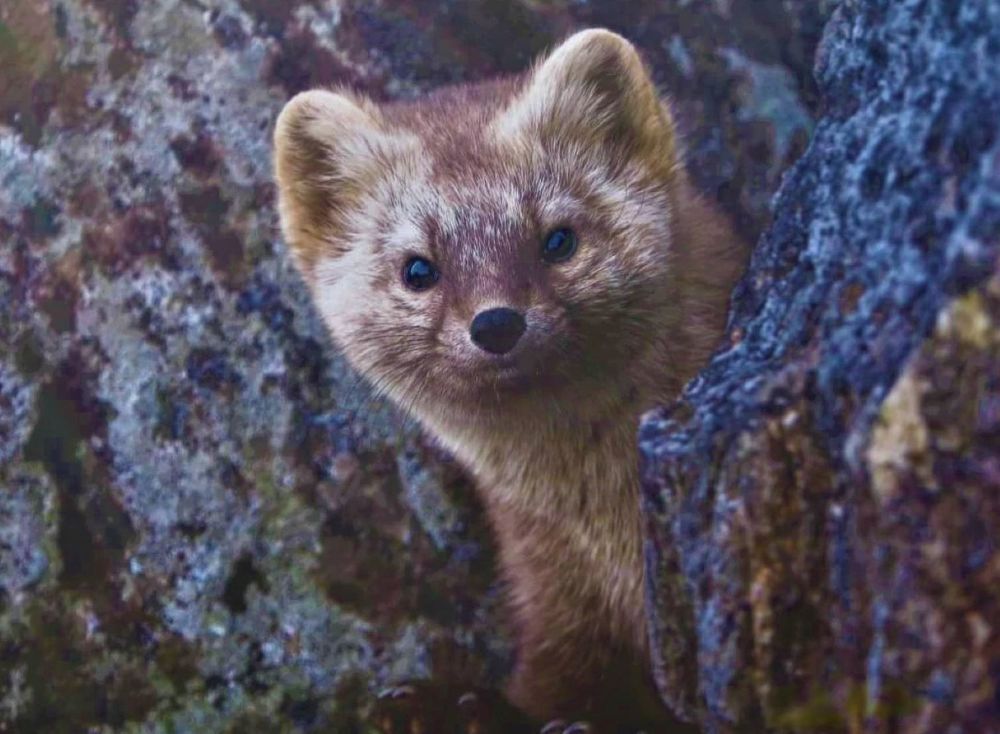 Photograph by Екатерина Шарун