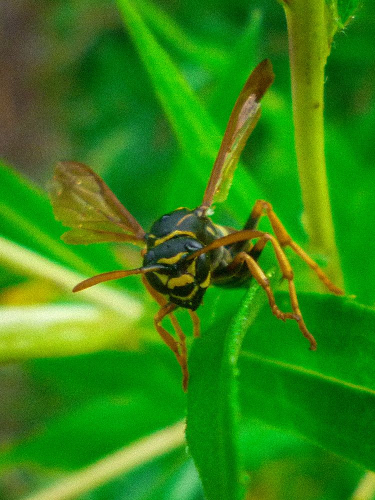 Однажды после дождика