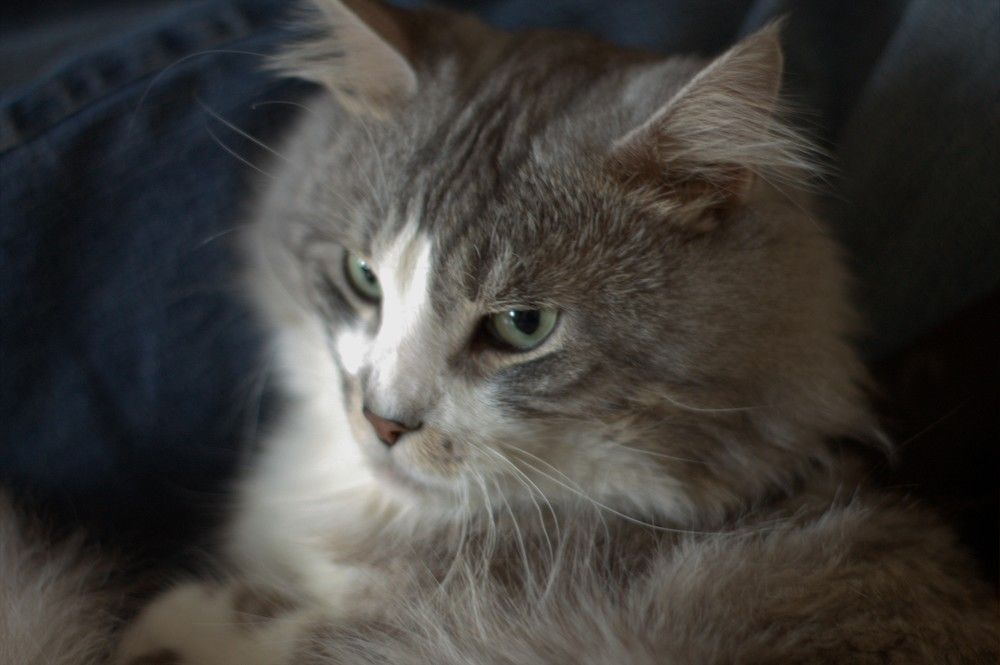 Photograph by Александр Подгорный