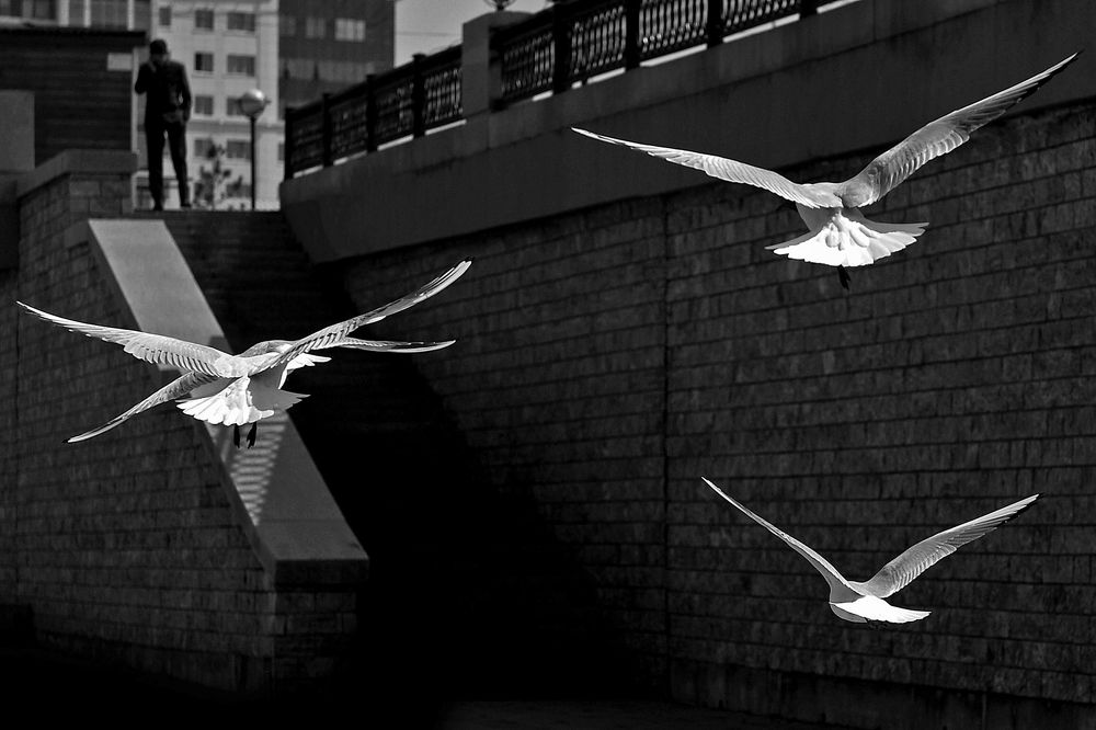 Photograph by Варвара Штерн