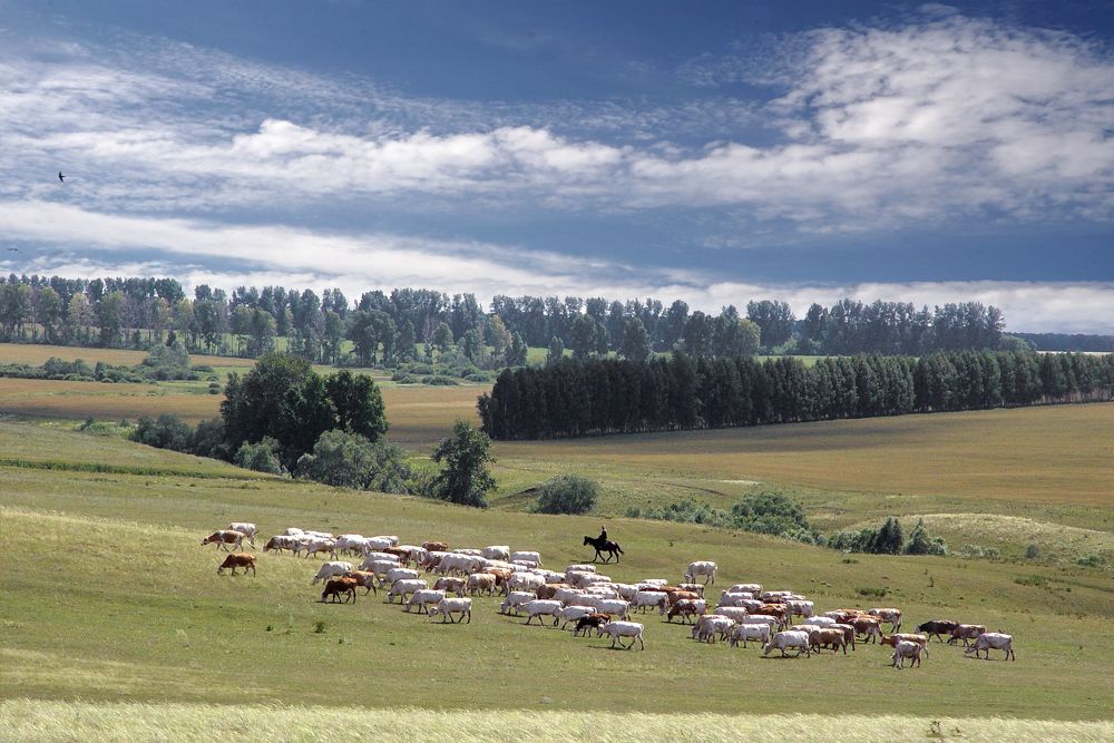 Photograph by Олег Машковский