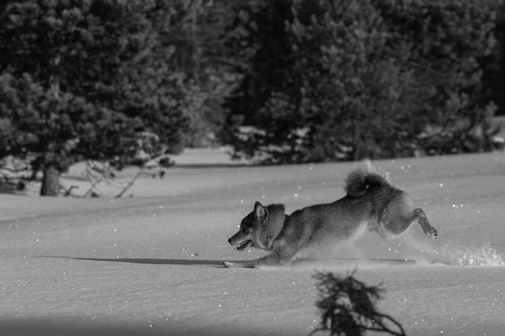 Лечууу, нет сколзююю