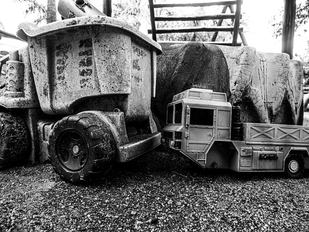 Photograph by Shannon